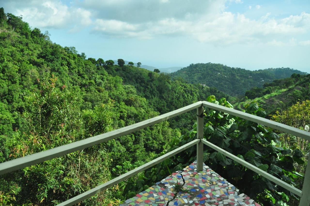 Mount Edge Guest House Port Antonio Eksteriør billede