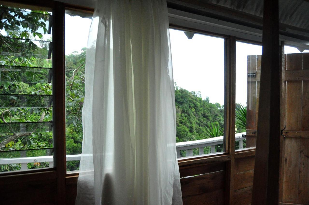 Mount Edge Guest House Port Antonio Eksteriør billede